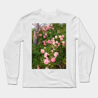 Dorothy Perkins Vintage Rambling Pink Rose Photo Long Sleeve T-Shirt